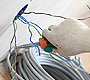 House Rewires